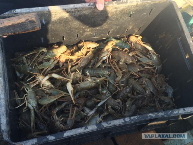 Рыбалка в Астрахани