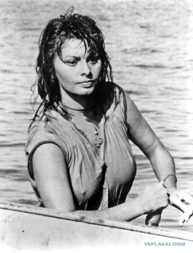 Sophia Loren