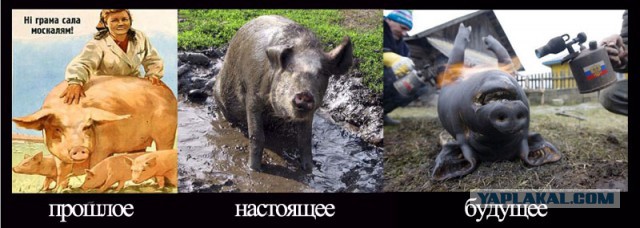 Митинг в Украине