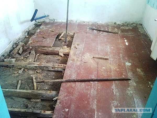 Для тех, кто сражается с запахом от котов – мой успешный опыт