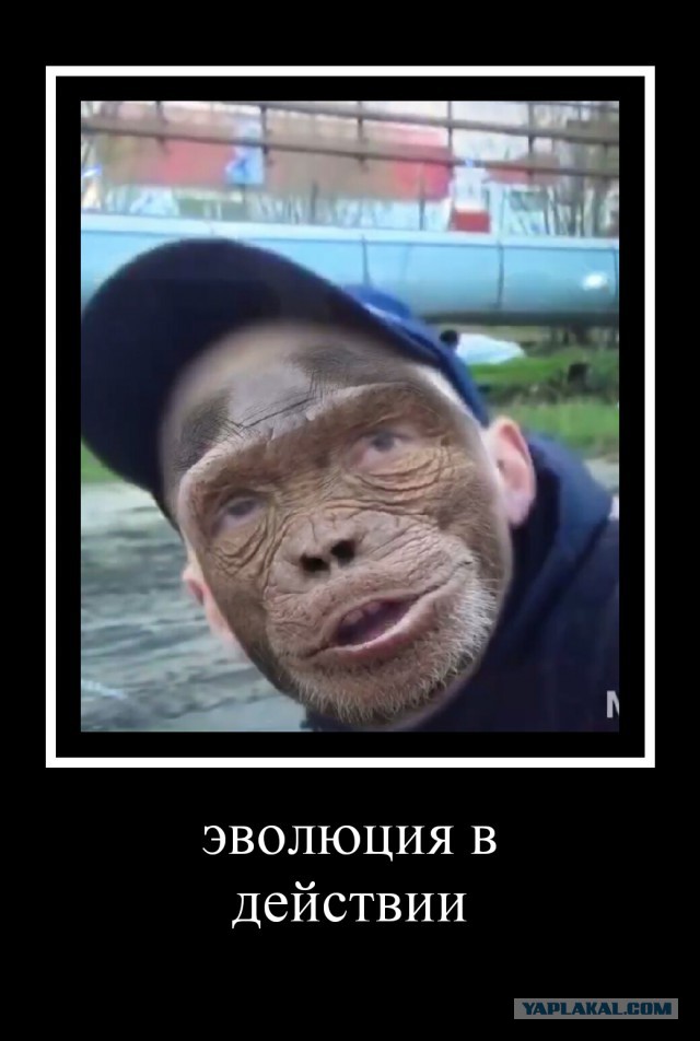 Кайфанул...