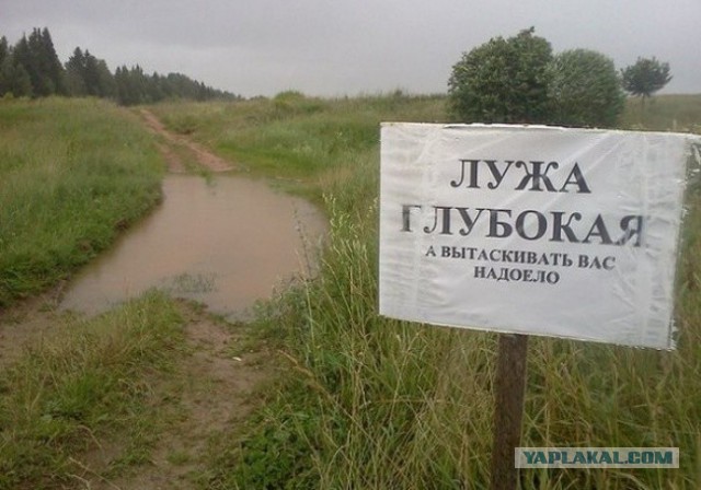 Картинки разные.