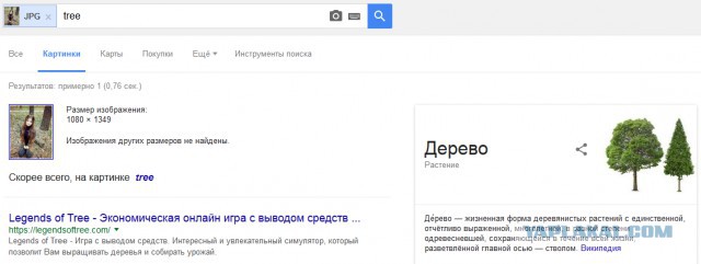 Приятные дамы из социальных сетей
