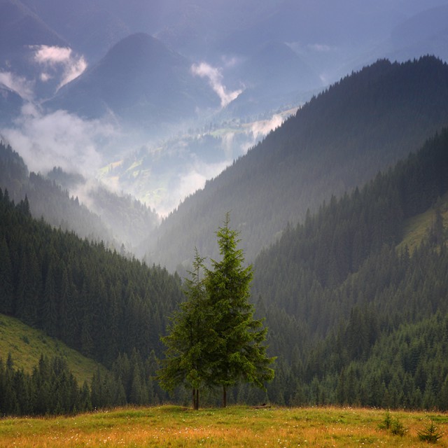 Винегрет фоток на пятницу...