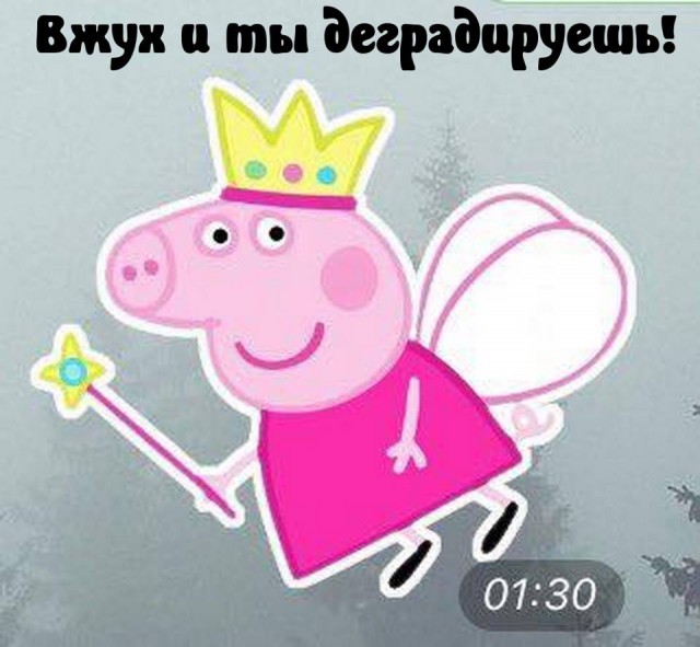 Абсурд зашкаливает