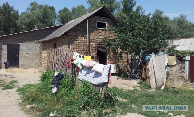 Звездец в Болгарии