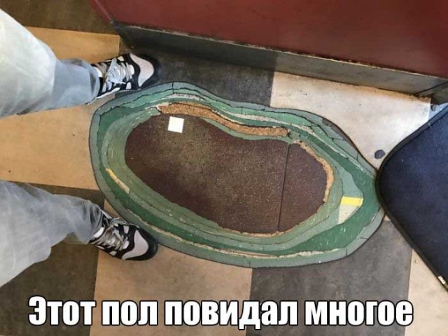 Порция картинок