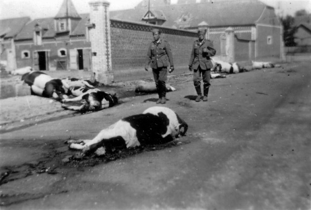 Фотографии к "Нахальному минированию" и "Лехе"