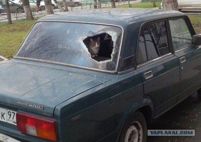 Когда автомобиль страдает за грехи своего владельца