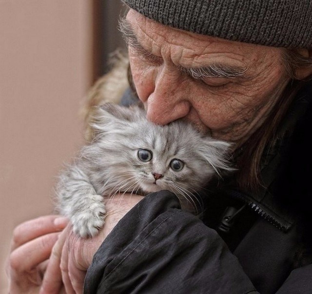 Этот котёнок — всё, что осталось у 83-летнего деда, дом которого сгорел дотла