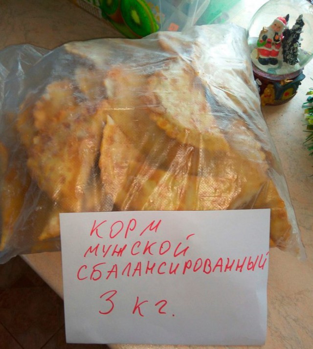 Пятничные ШутЯПки
