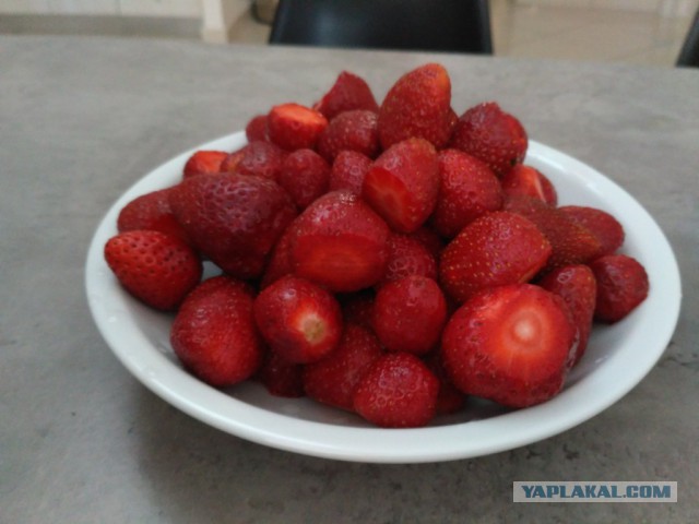 Греция, конец мая, самотур