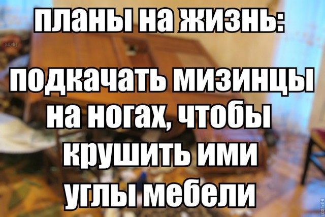 Картинки разной степени боянистости и упоростости