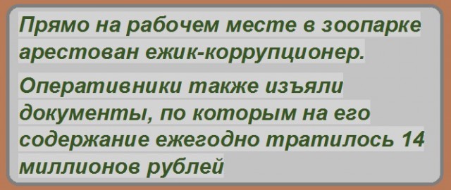Анекдоты, соц-сети и картинки с надписями