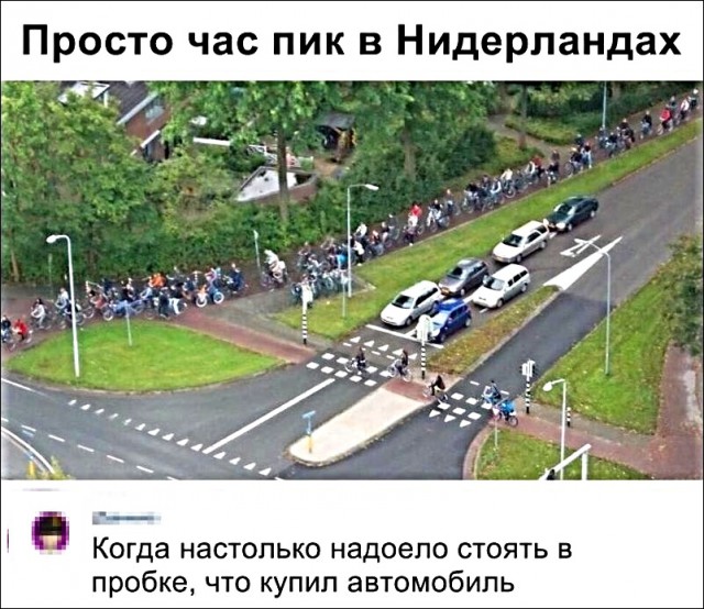 Картинки с надписями и анекдоты