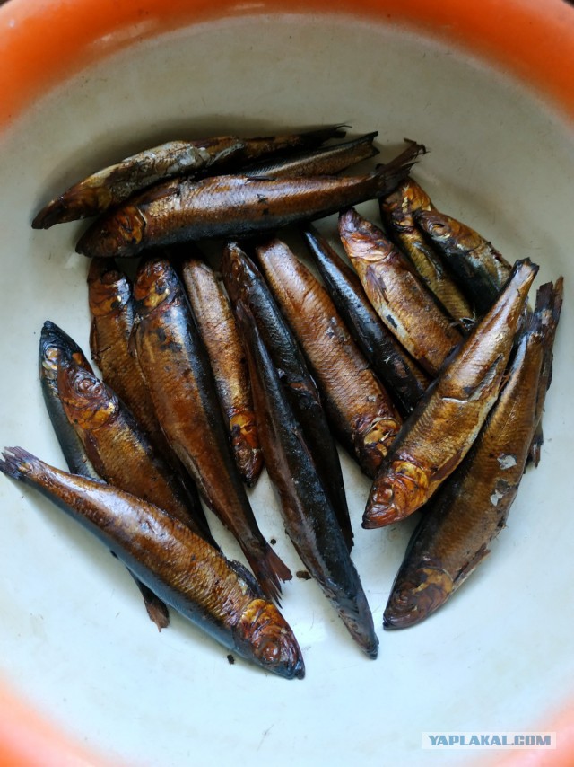 Крутая цыпочка