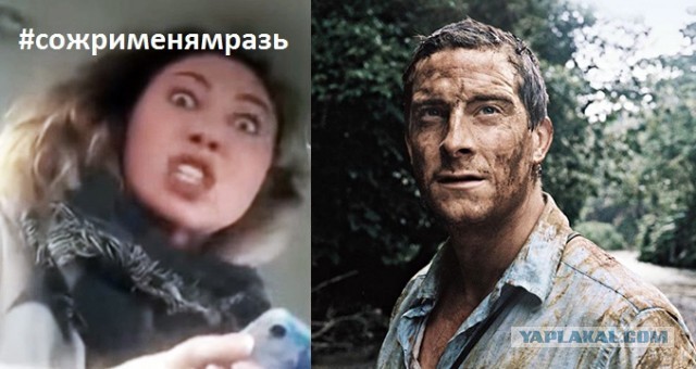 Наклейки «Вези меня, мразь» стали хитом у московских таксистов