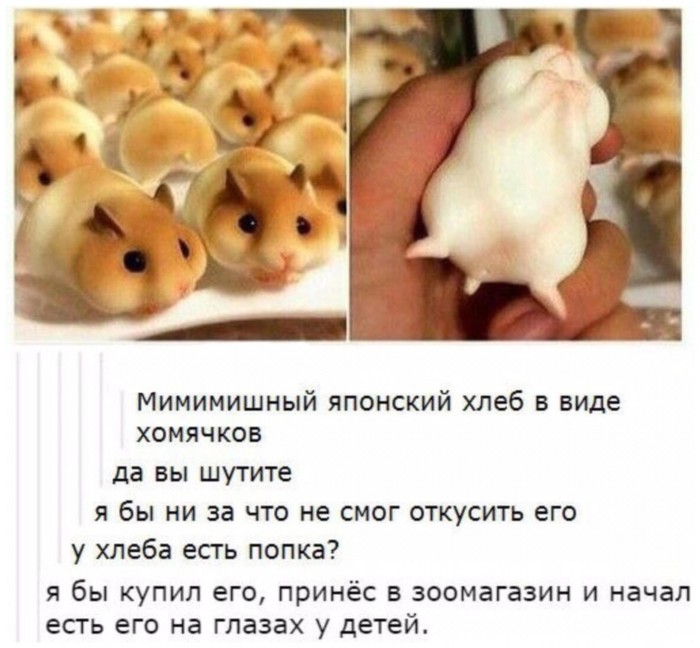 Бредзона 19.02.2020
