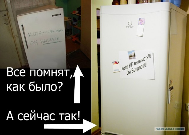 Ты - не ты, когда голоден