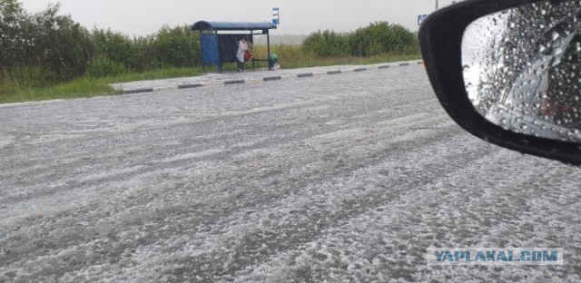 Нынешнее лето в Москве станет одним из самых дождливых в истории