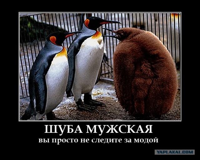 Анкета с сайта знакомств