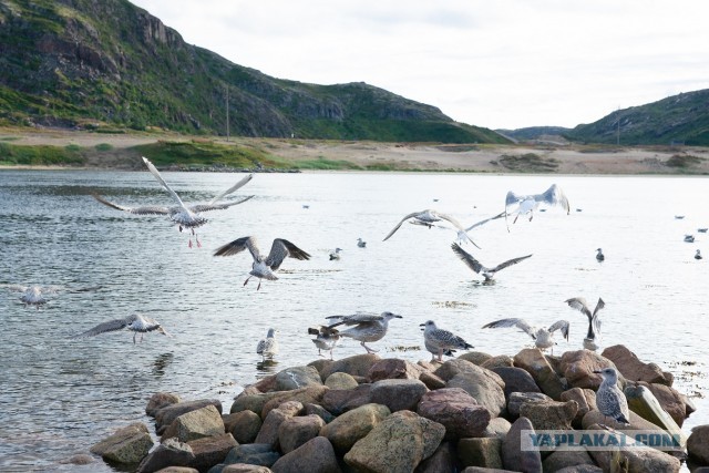 Наше море. Шикарные виды, пустые пляжи, гостеприимные хозяева