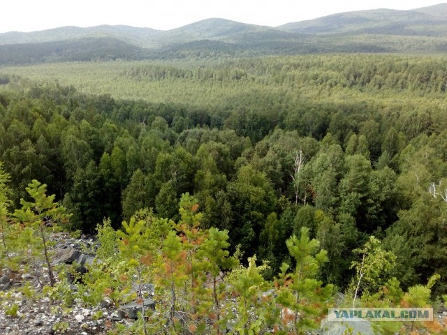 Где-то на Урале лес заменяет людям небо