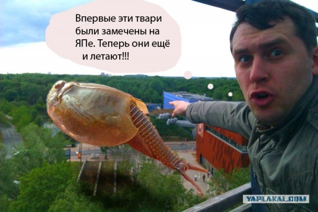 Конкурс фотожабы: Пришельцы среди нас