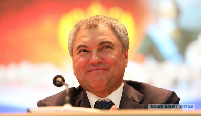 Володин назвал Россию "последним островом свободы"
