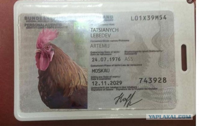 Витязеву забанили за разглашение немецкого гражданства навальной
