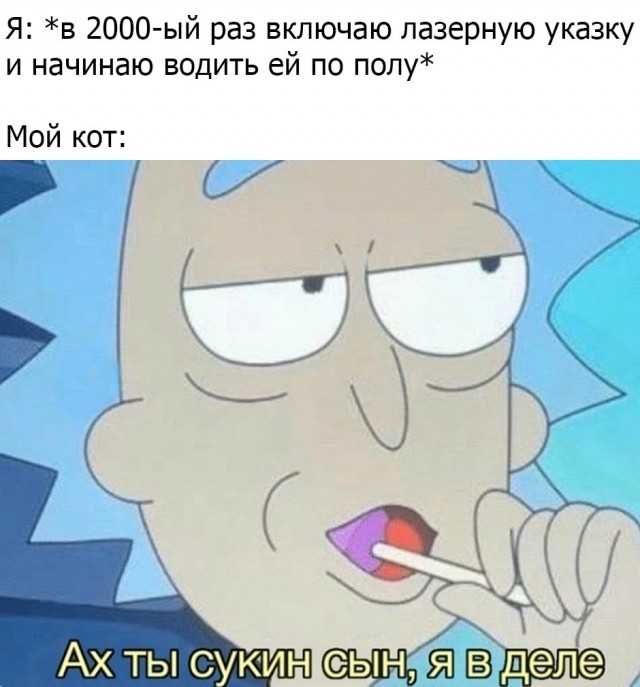 Картинки и мемы для настроения