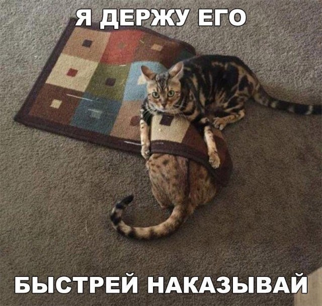 Так себе картинки 25.04.21