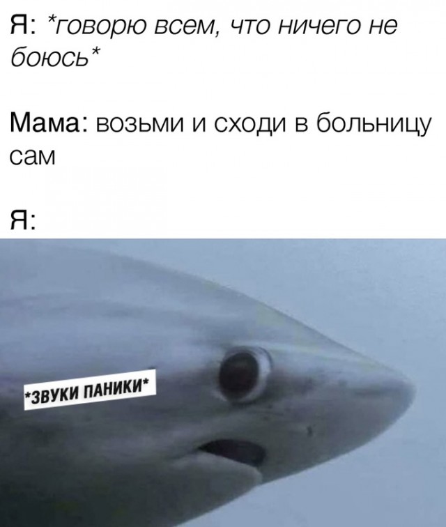 Весёлый полтишок 21.05
