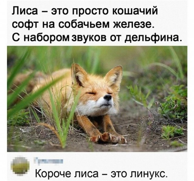 Картинки и мемы для настроения 09.06.2021