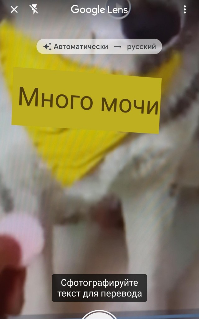 Человек, ты поступаешь подло и низко!