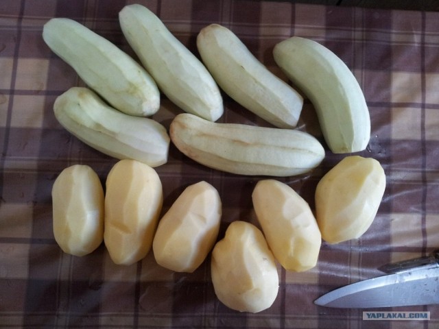 Пятничные посиделки на теплотрассе ©