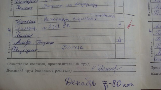 Дневник школьный, обыкновенный