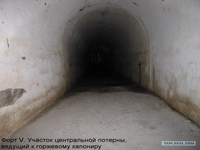 Форты Бреста