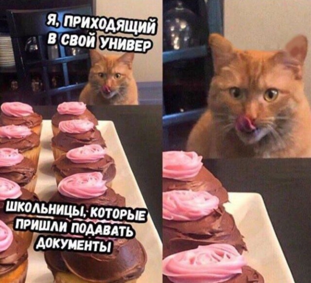 Чёрно-пошлая деградация на вторник