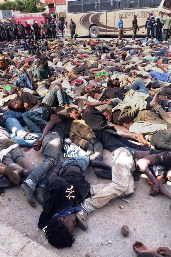 Крупнейшая спецоперация по пресечению незаконной миграции на сухопутных границах Европы