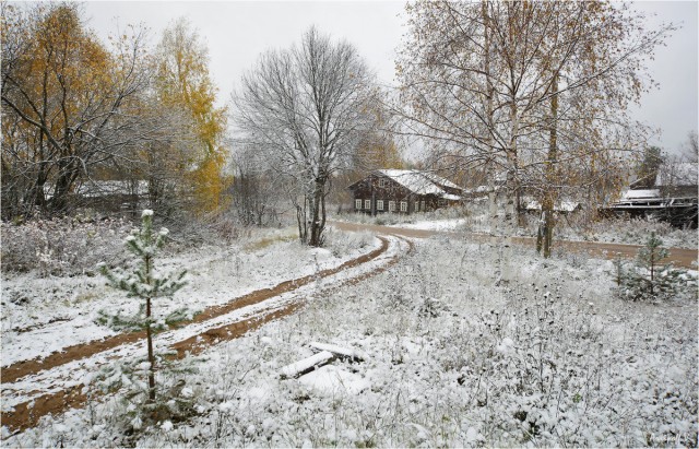 Поздней осенью в деревне