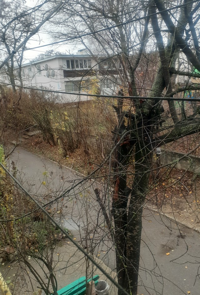 Давно вроде не было... А что у вас за окном