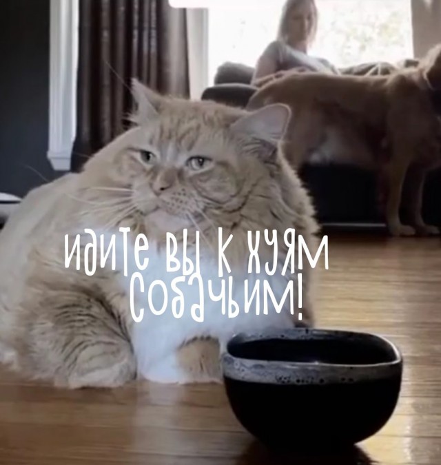 Грустнее уже не будет