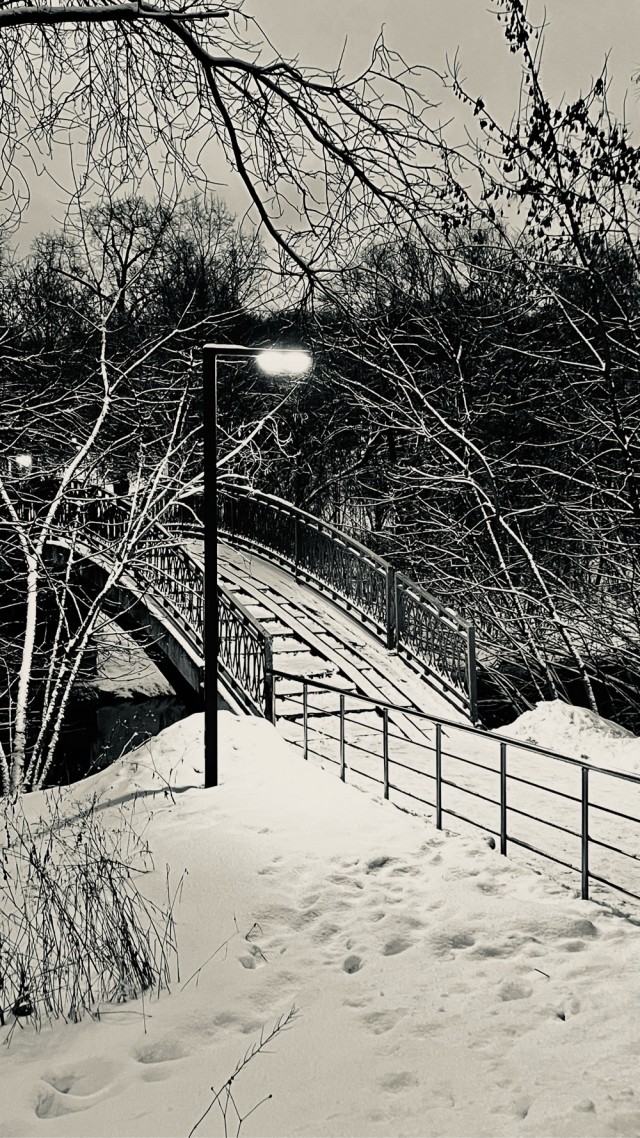Моя мобильная фотография