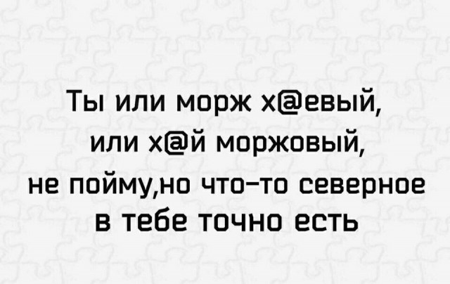 Юмор в картинках и без 21.02.2023