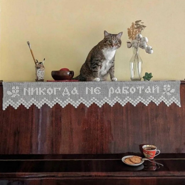 38 разных картинок для настроения (1)