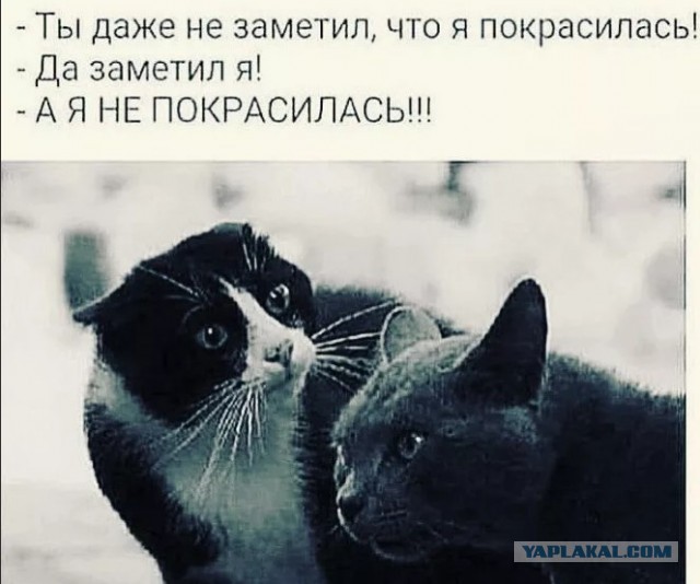 Картинки разнообразные