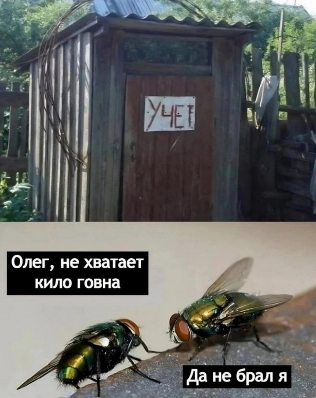 Прикольные и просто красивые картинки 23.05.2023