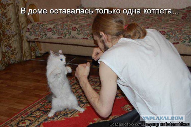 Меня в духовку?!