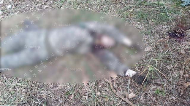В Брянской области разгромили группу украинских диверсантов